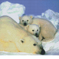 Ľadový medveď 812073